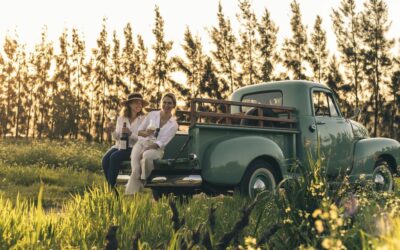 BEST WINERIES IN SOUTH AFRICA