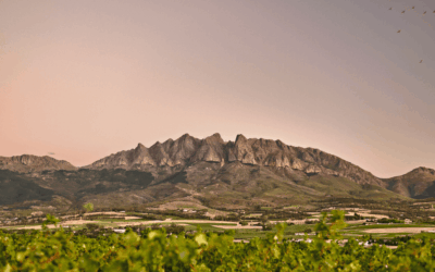 Wellington, Western Cape: What Makes This Winelands Town Worth Visiting?
