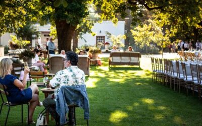 Wine Farms Near Cape Town Worth Exploring at a Slower Pace