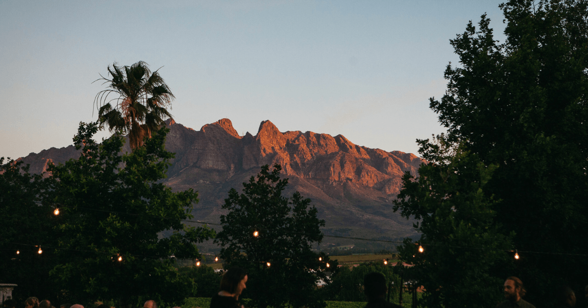 Visitors enjoying wine with Wellington mountains in the background 